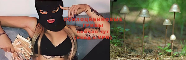 таблы Алексеевка