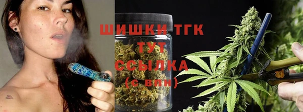СК Алзамай