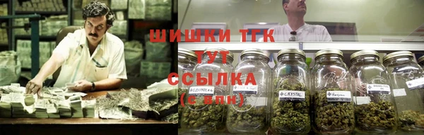 СК Алзамай