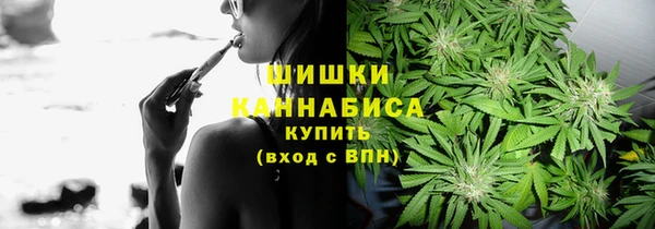 СК Алзамай