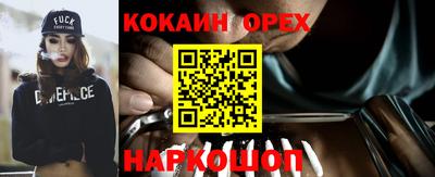амф Гатчина