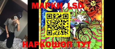 амф Гатчина