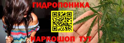амф Гатчина
