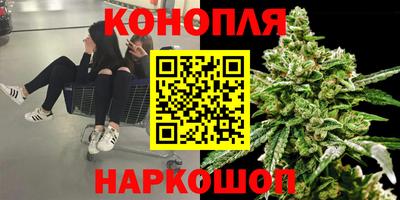 амф Гатчина